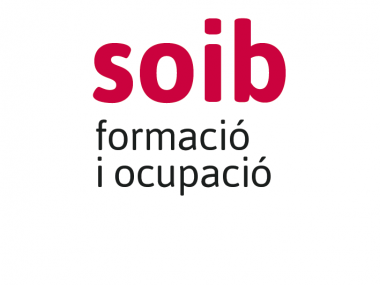 Programa visibles 2019