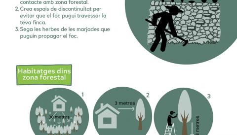 Aquest estiu, envolta't de seguretat