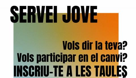 Servei jove