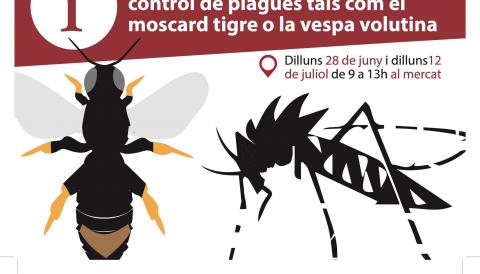 Moscard