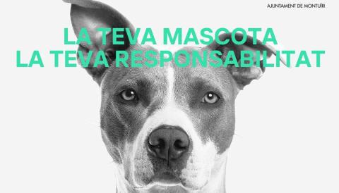 mascotes montuiri